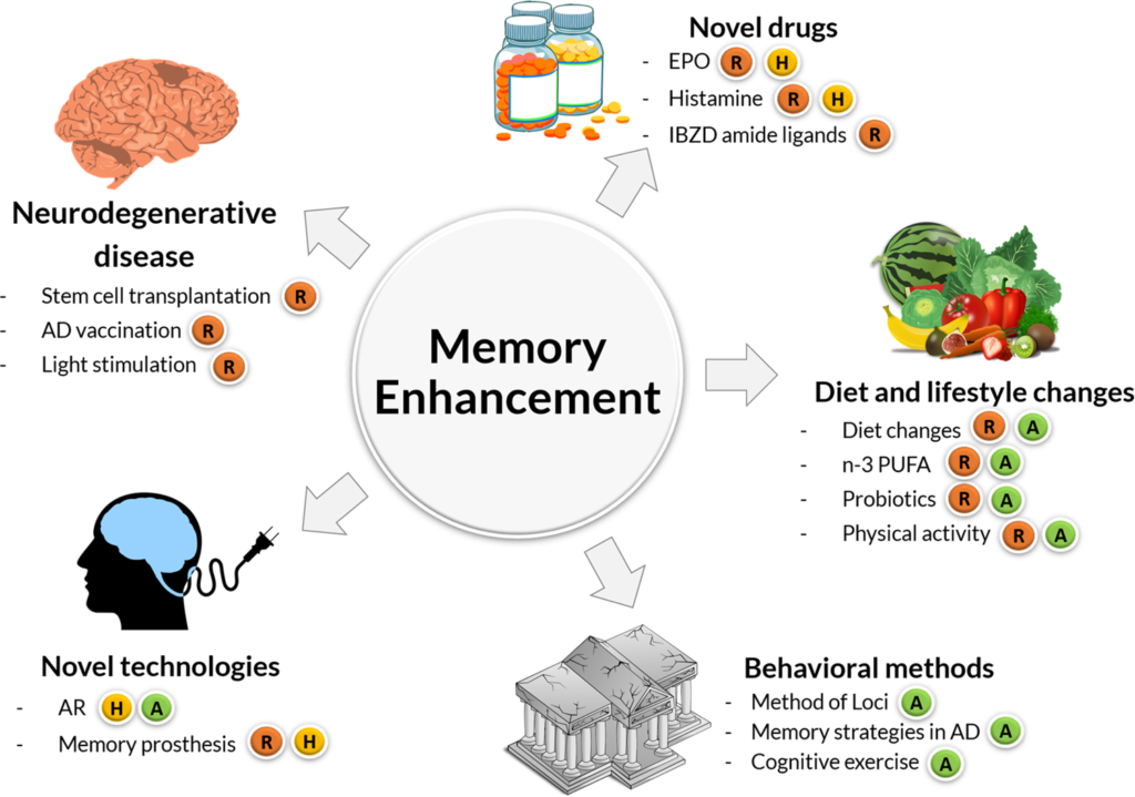 How Can Memory Techniques Be Used To Reduce Forgetfulness And Absentmindedness?