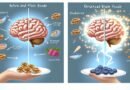 How do brain foods affect cognitive abilities?